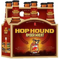 Anheuser-Busch InBev USA Hop Hound Amber Wheat