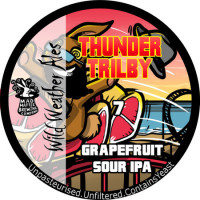 Wild Weather Ales Thunder Trilby