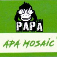 Pa Pa Tods APA Mosaic