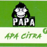 Pa Pa Tods APA Citra