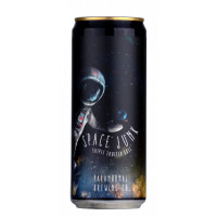 Paranormal Brewing Co Space Junk