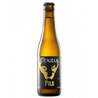 Brasserie Lupulus Pils