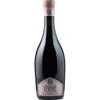 Birrificio Baladin Terre Riserva Teo Musso 2012