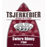 Tsjerkebier Swiere Dûmny