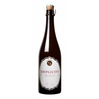 Four Winds Brewing Triplicity