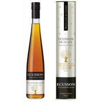 Écusson Ecusson De Glace