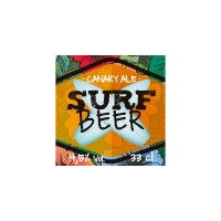 Tacoa Cerveceria Surf Beer