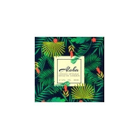 Cerveza Fiera Aloha