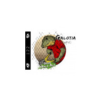 Galotia Brewing 122