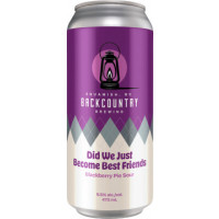 Backcountry Brewing Did We Just Become Best Friends - Blackberry