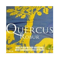 Lommel Brouwt Quercus Robur