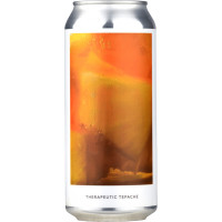 Evil Twin Brewing NYC Therapeutic Tepache