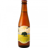 Cervezas La Virgen Campo
