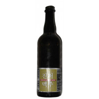 BrewBaker Berlin Ginger Beer