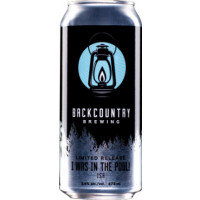 Backcountry Brewing I Was in the Pool