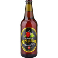 Kopparbergs Bryggeri Premium Cider with Strawberry & Lime