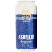 Tesco Ashfield British Lager