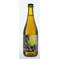 Garage Project Marion Street Saison
