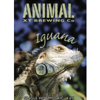 Animal Brewing Co Iguana