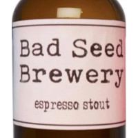 Bad Seed Brewery Espresso Stout