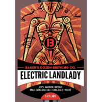 Baker's Dozen Brewing Co. Electric Landlady