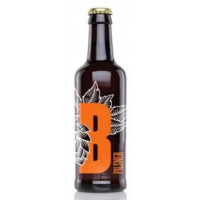 Bedlam Brewery Pilsner