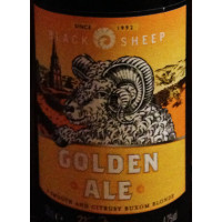Morrisons Black Sheep Golden Ale