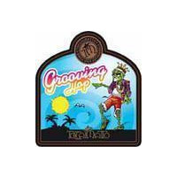 Birrificio Toccalmatto Grooving Hop