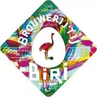 Brouwerij 't IJ Biri