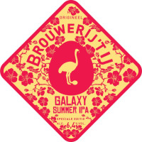 Brouwerij 't IJ Galaxy Summer IPA