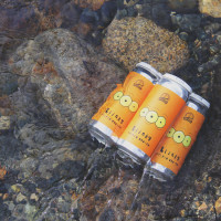Bridge Brewing Company Blinky
