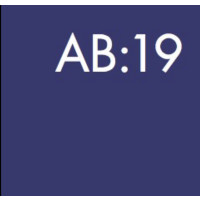 BrewDog Abstrakt AB:19