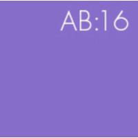 BrewDog Abstrakt AB:16