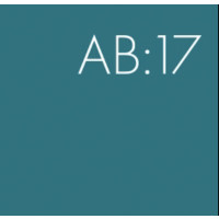 BrewDog Abstrakt AB:17