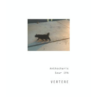 Vertere Anthocharis