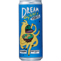 Ten Hands Brewing Dream Snack Double Dry Hopped Citra