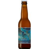 Rocket Brewing Company (Sweden) The Star Thief