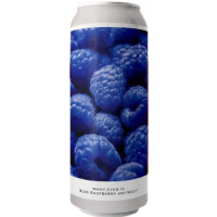 Evil Twin Brewing NYC What Even Is Blue Raspberry Anyway?