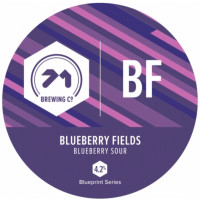 71 Brewing Blueberry Fields