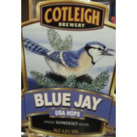 Cotleigh Brewery Blue Jay