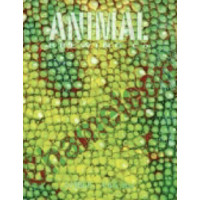 Animal Brewing Co Chameleon