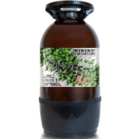 Bibibir Harvest Ale