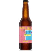 Brons Bier Dive Into Summer