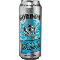 John Martin Gordon XplosioN Gin Spices