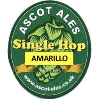 Ascot Brewing Single Hop Amarillo