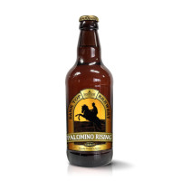 Bank Top Brewery Palomino Rising