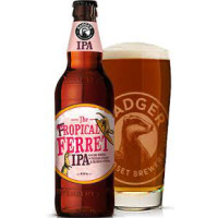 Badger Brewery (Hall & Woodhouse) The Fropical Ferret