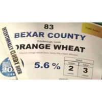 Bexar County Brewery Orange Wheat