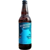 Ballykilcavan Back Lawn Lager
