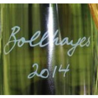 Bollhayes Cider 2014 Bottle Fermented Cider